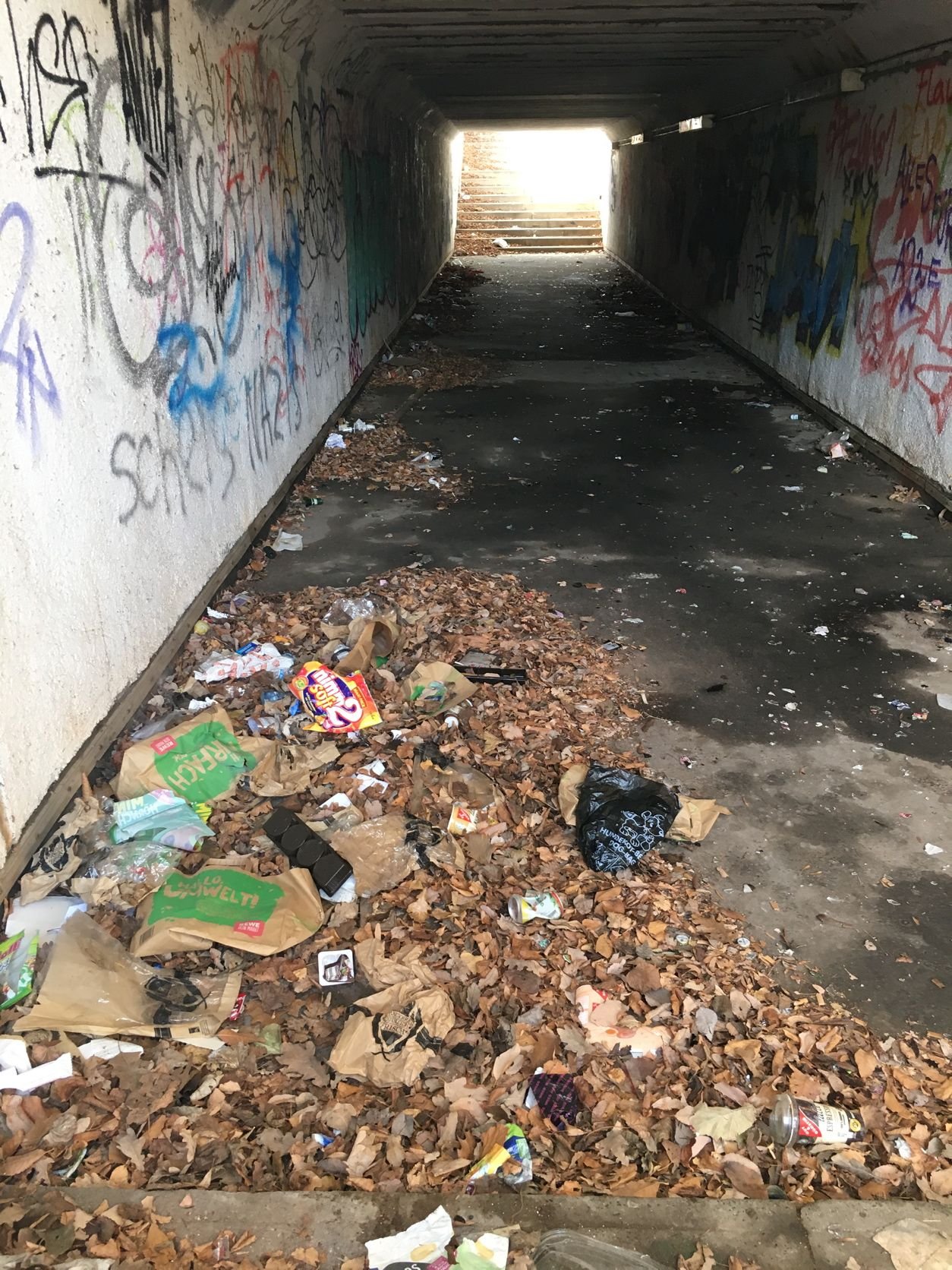 Wer durch den Tunnel unter dem Bahnübergang Stresemannstraße in Quedlinburg gehen will, darf sich nicht ekeln.