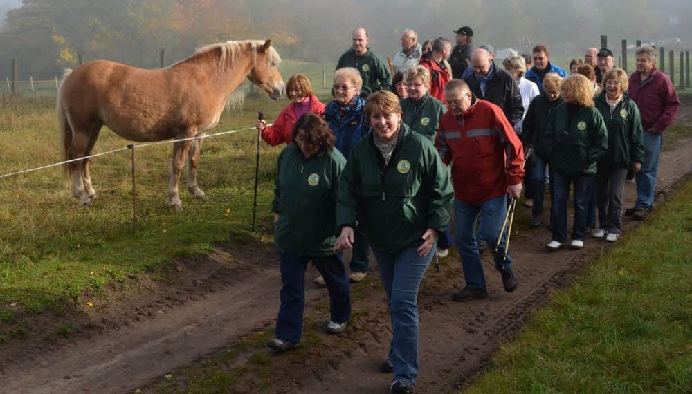 Eine Wanderung zu den Holzmarken gibt es auch an diesem Wochenende.