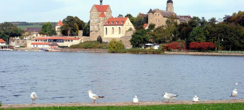 Vom Haus am See hat man einen guten Blick auf den Süßen See.
