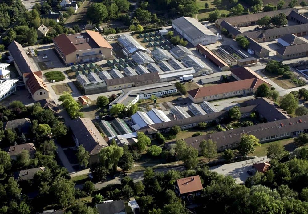 Das IPK verfügt in Gatersleben über 6.000 Quadratmeter Gewächshausfläche.