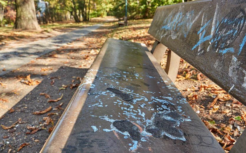 Auch die Bänke im Stadtpark Alte Bibel in Bernburg sind stark beschädigt worden.