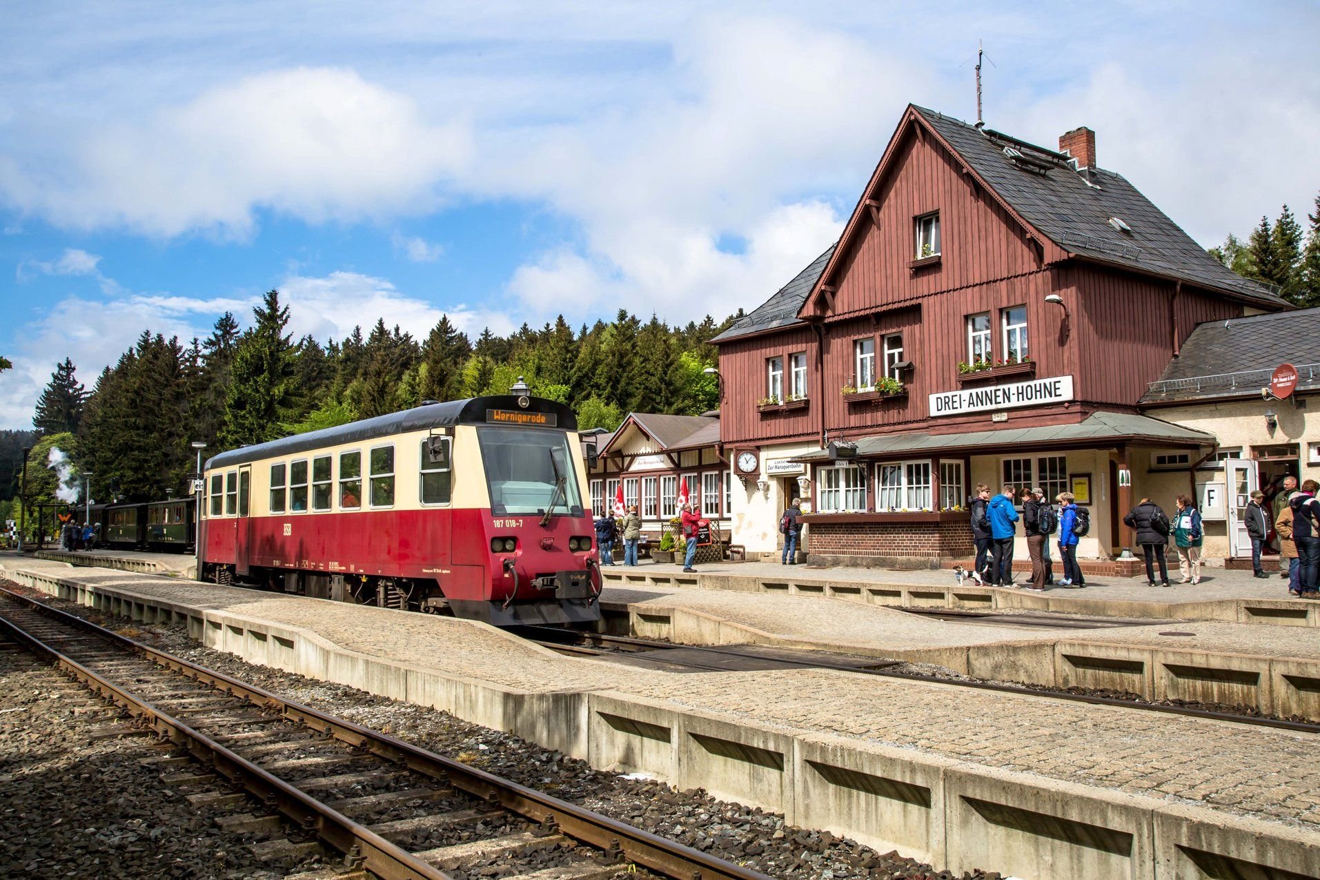 Der HSB-Dieseltriebwagen vom Typ „Halberstädter“ ist mit maximal 50 Kilometer pro Stunde unterwegs.