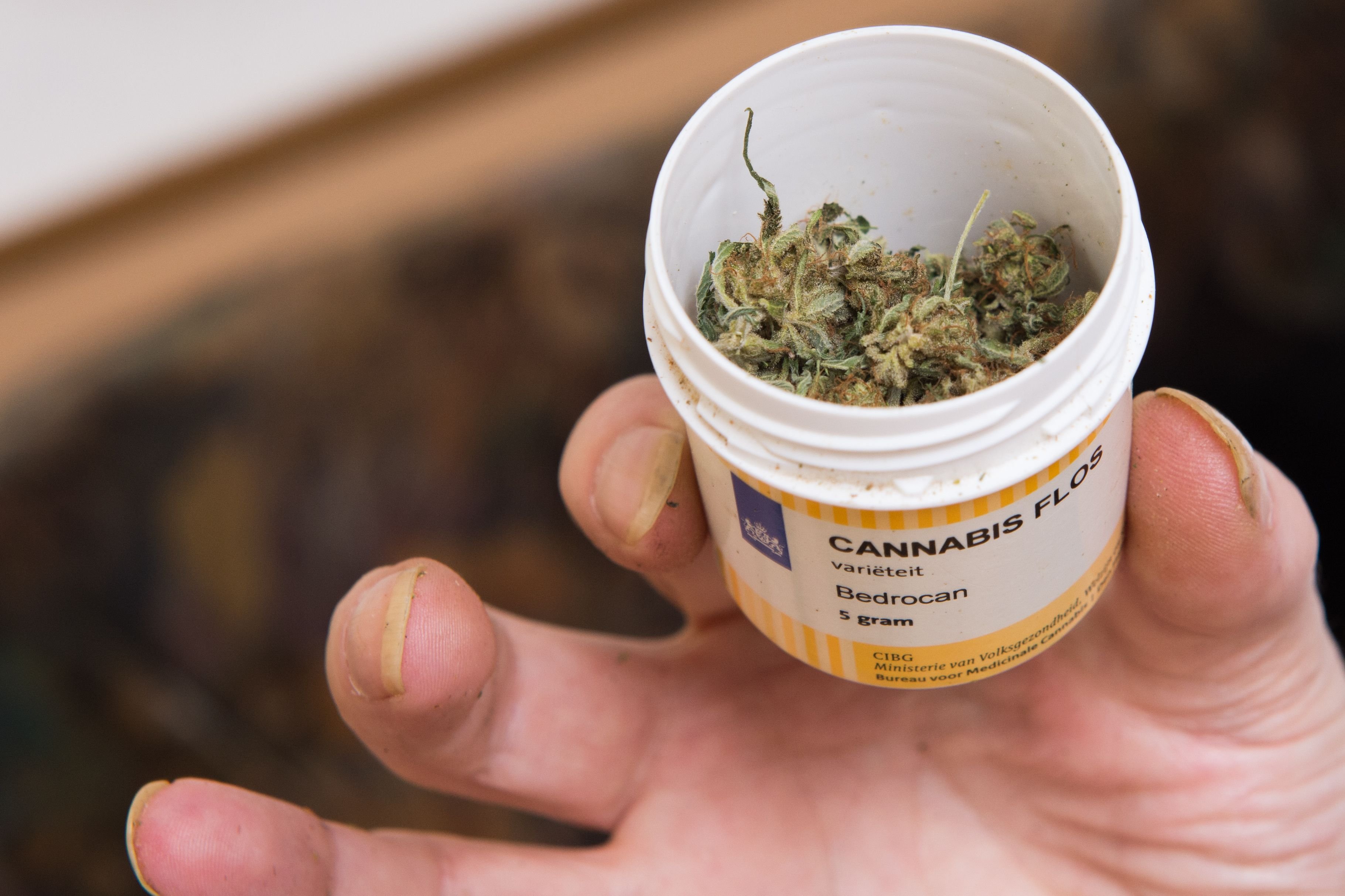 Seit dem 10. März dürfen sich Menschen mit schweren Erkrankungen Cannabis zu Therapiezwecken verschreiben lassen.