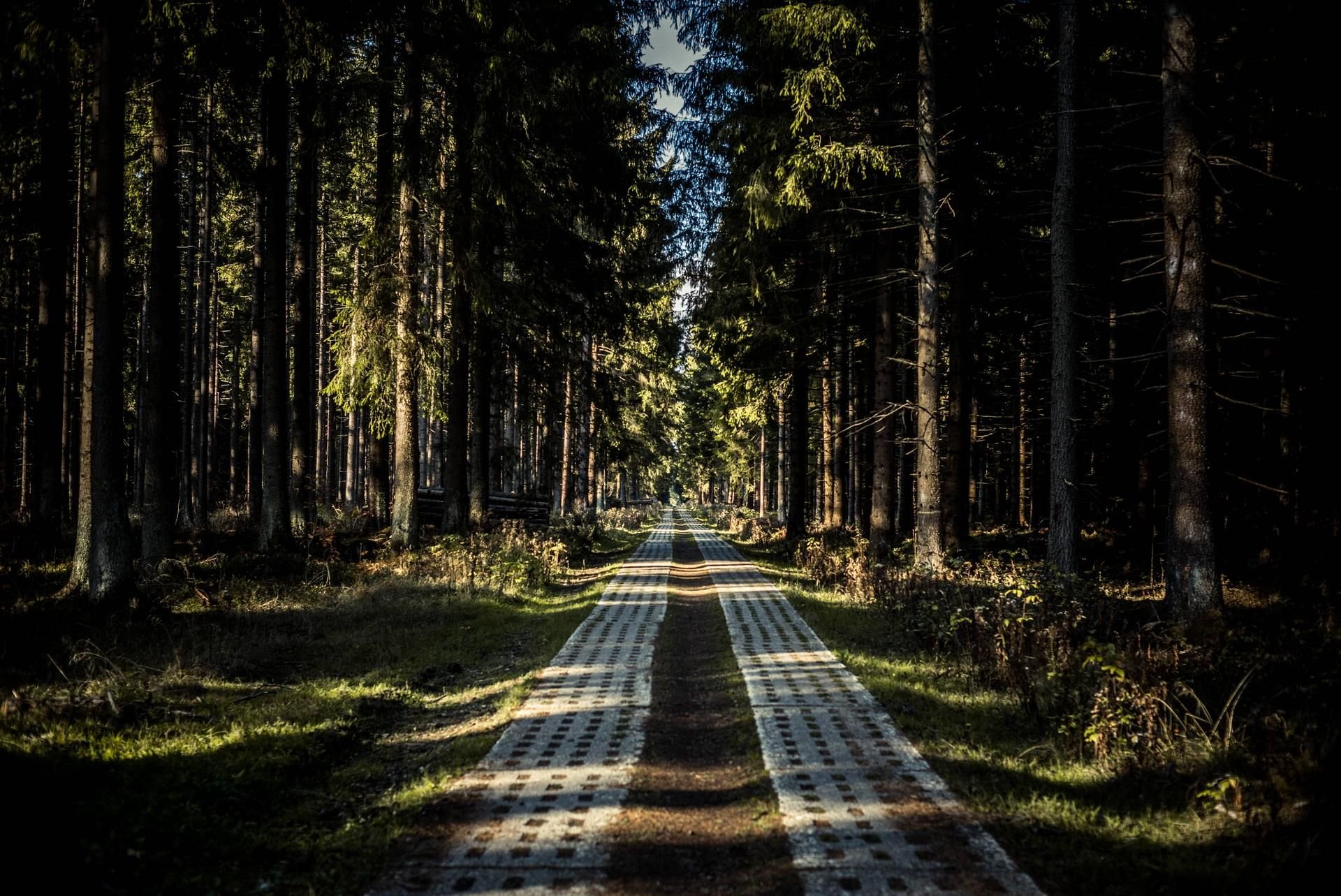 Blick auf die ehemalige Innerdeutsche Grenze bie Sorge (Harz).