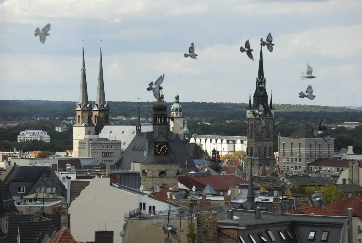 Blick auf die Altstadt von Halle.