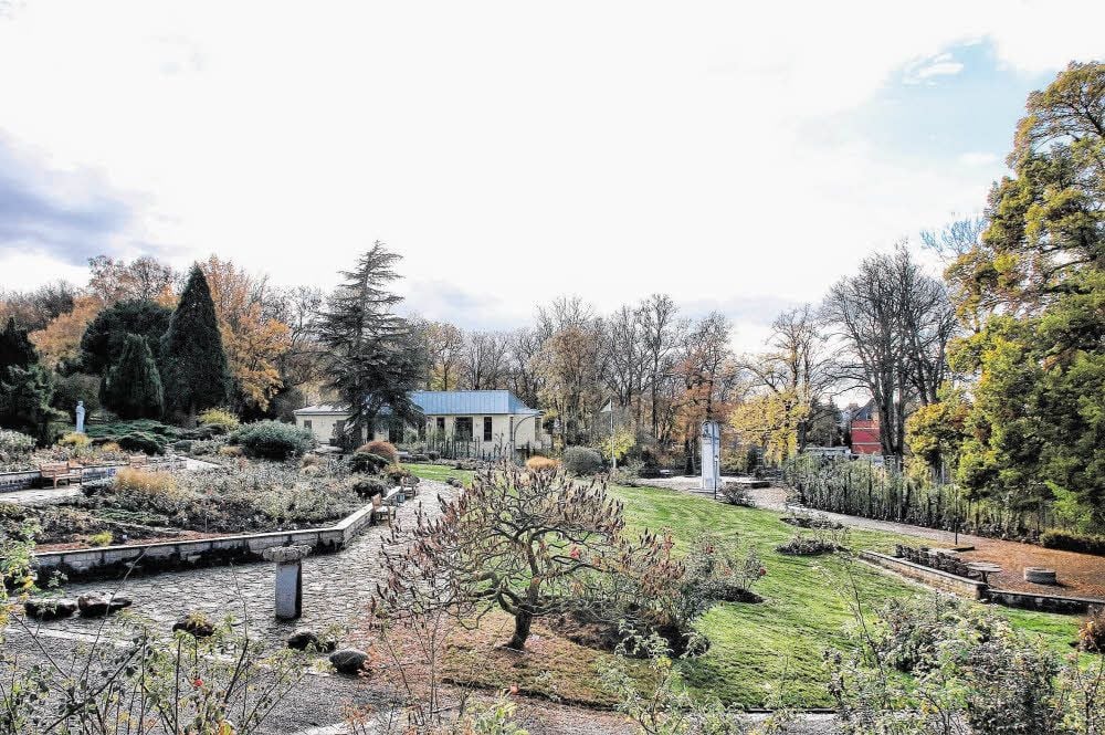 Das herbstliche Rosarium.