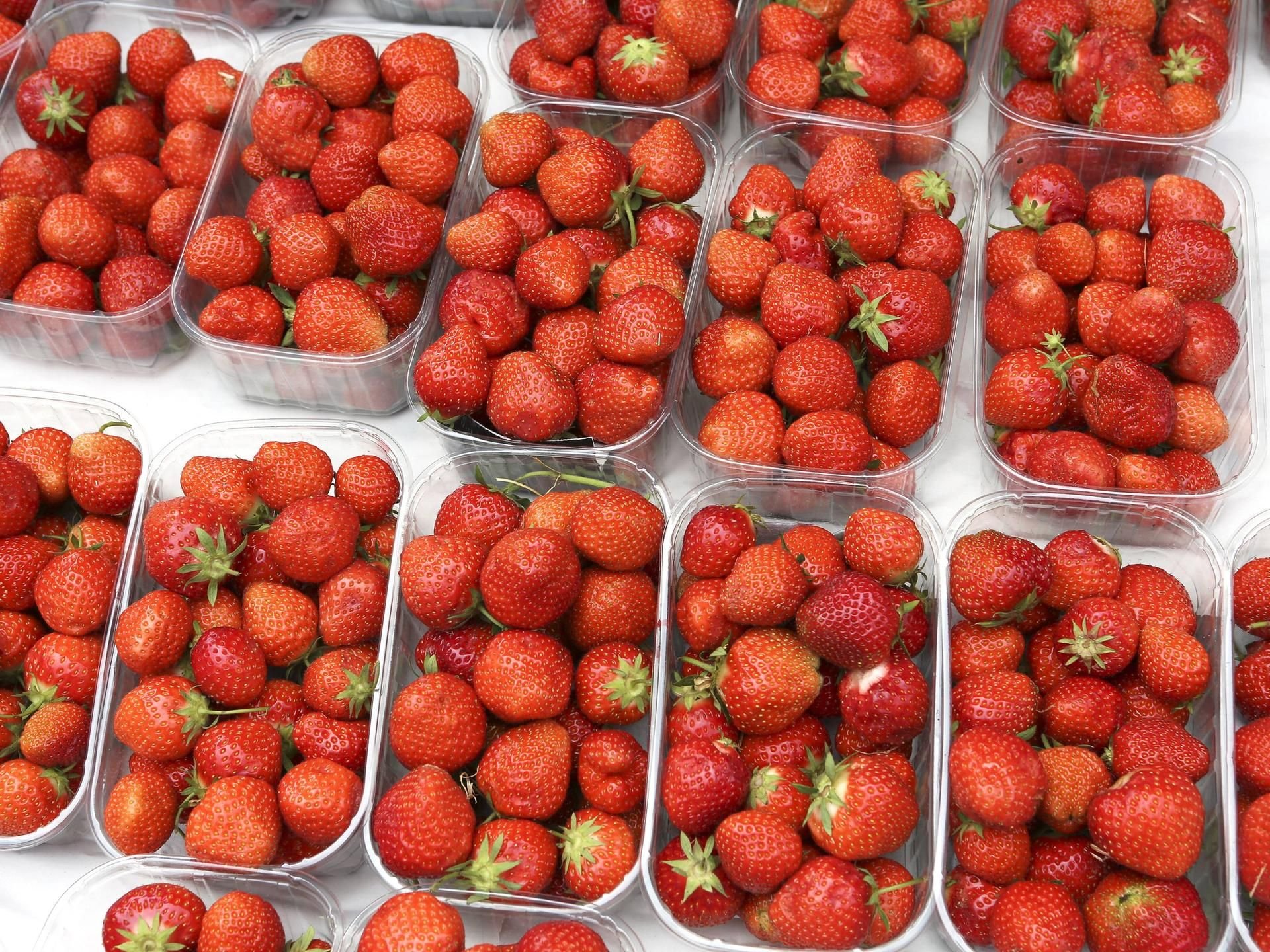 Im Jahr 2015 gab es eine große Erdbeeren-Rückrufaktion. Die Nachricht über die Norovirus-Gefahr hält sich bis heute.