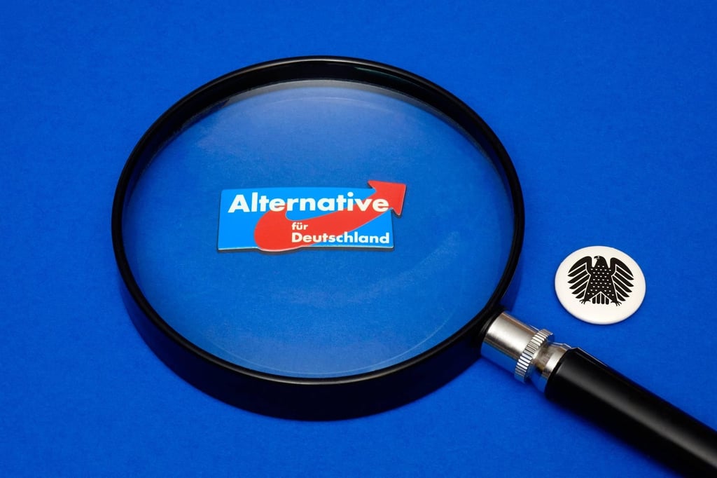 AfD unter der Lupe (Symbolbild)