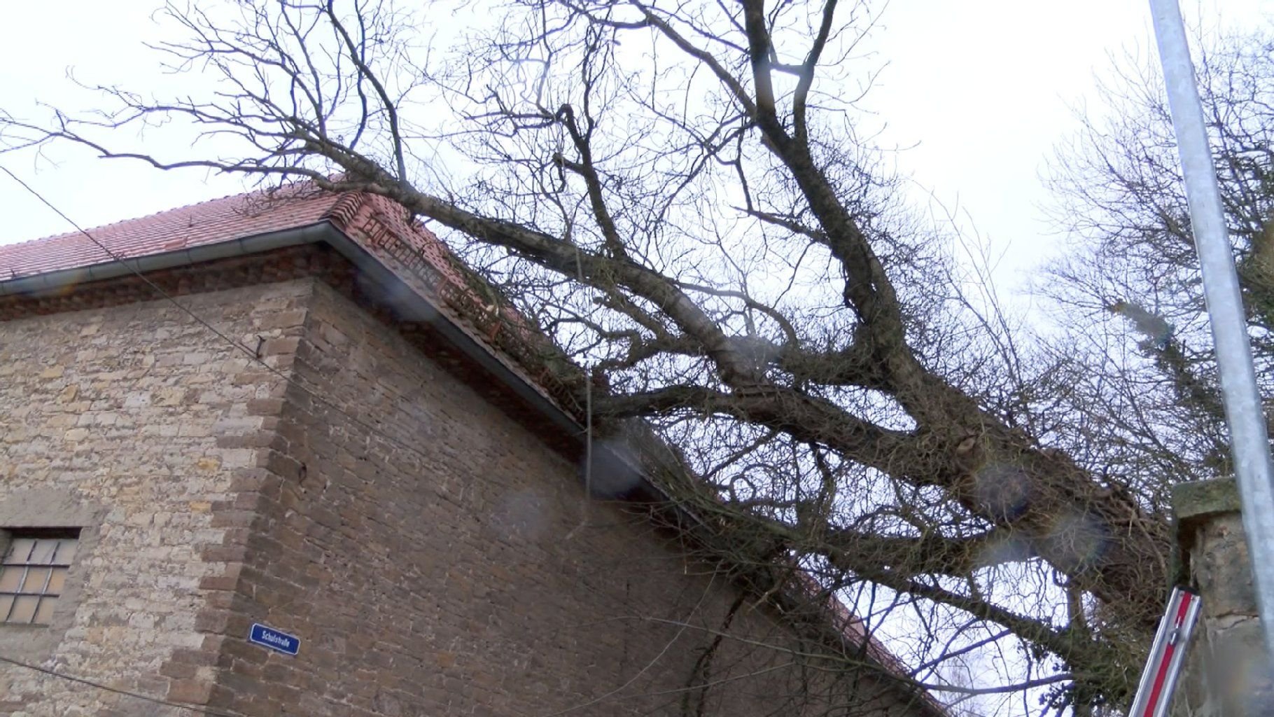 In Erxleben im Landkreis Börde ist am Nachmittag ein Baum auf ein Gebäude eines Bauernhofes gefallen.