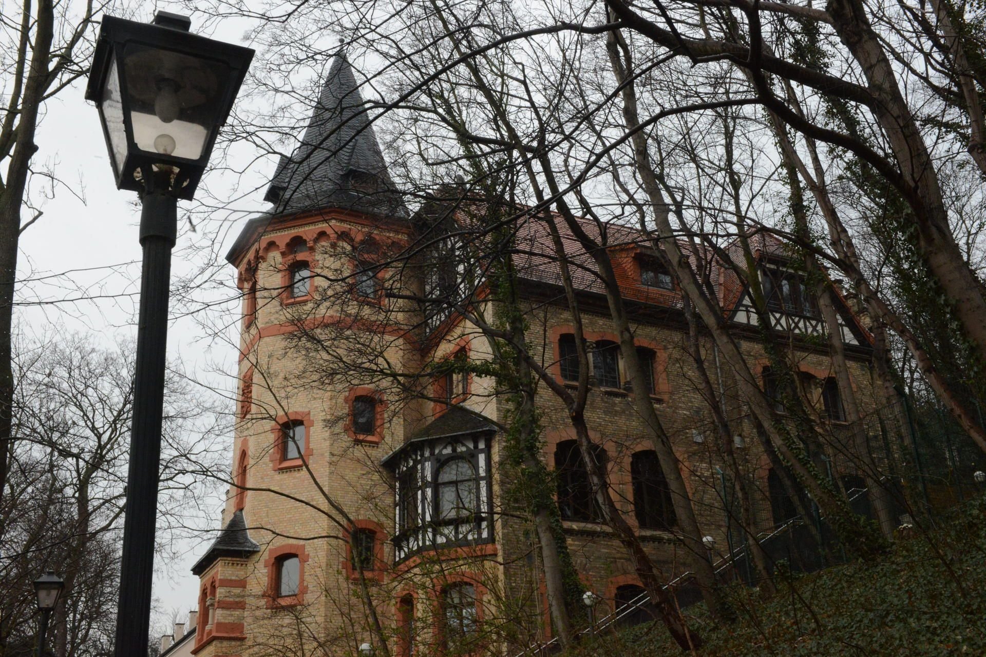 Reilsche Burg mit Kino Luchs