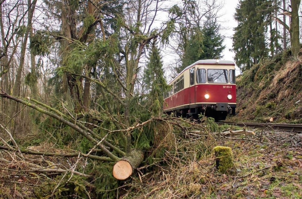 Umgestürzte Bäume mussten auch auf den Strecken der HSB entfernt werden.