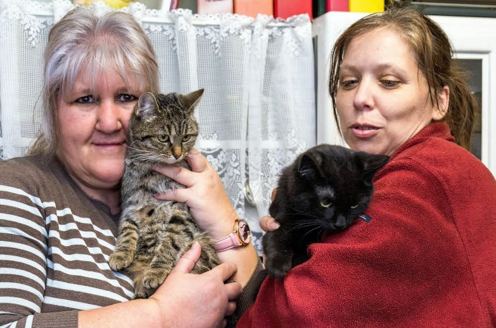 Jaqueline Kramp mit Miley und Antje Plitschuweit mit Lavina