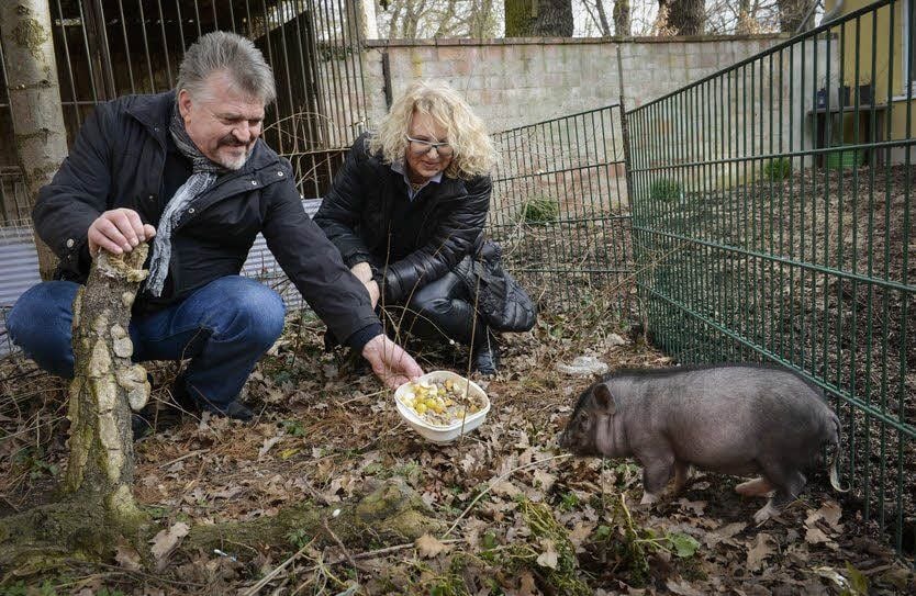 Regina Minsch-Elze und Gerd Rutsche locken Helene mit Futter an.