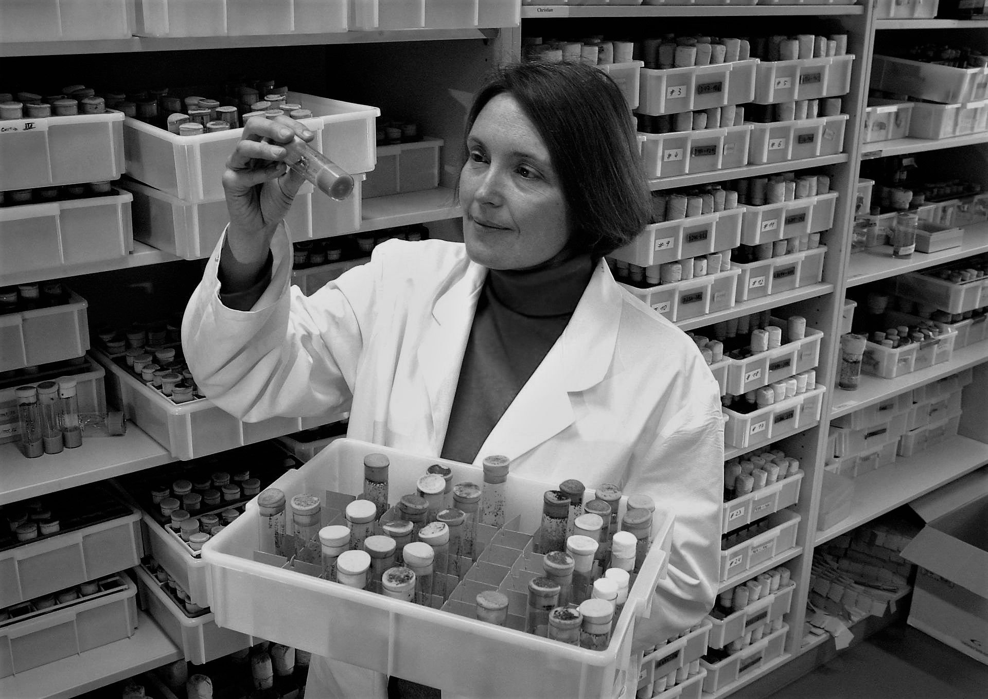 Biologin Suzanne Eaton (USA) forschte am Max Planck Institut für Molekulare Zellbiologie und Genetik in Dresden