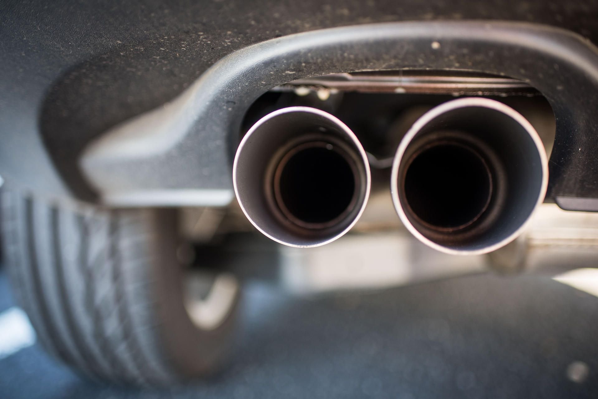 Die Autobauer sollen die Dieselabgase an Affen und Menschen getestet haben.