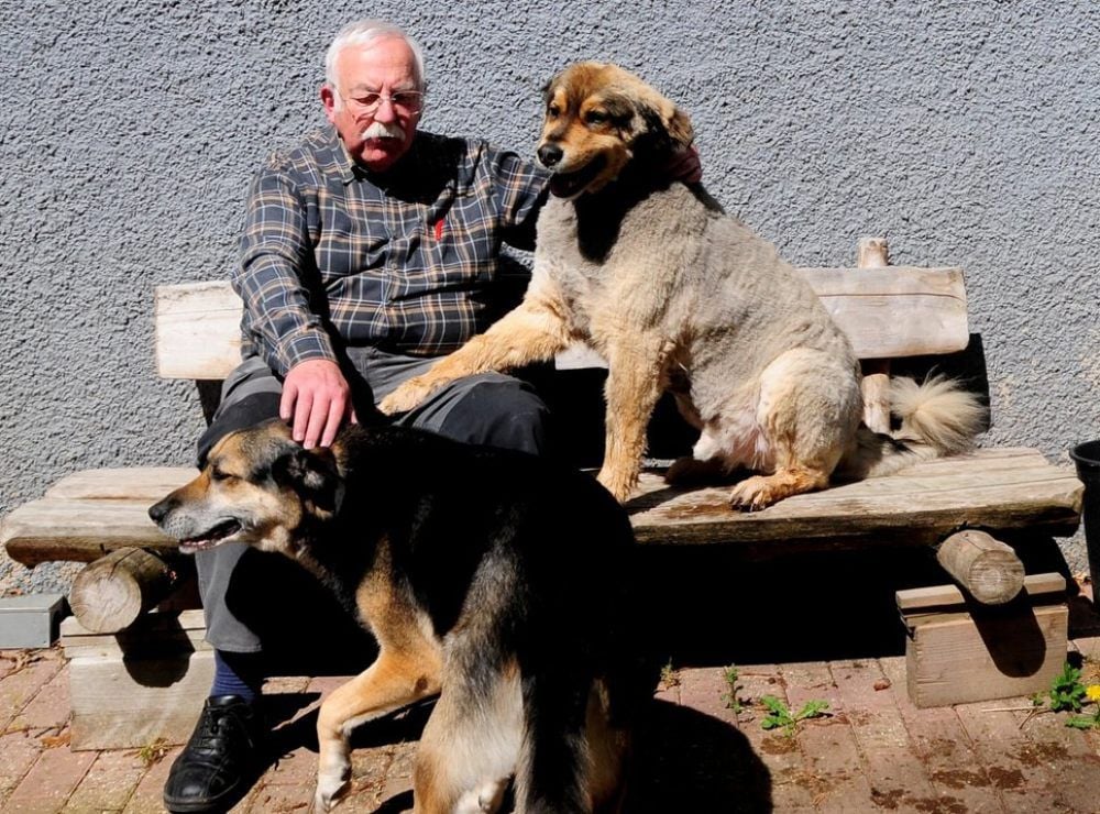 Der Kuschelbär Bruno - im Sommerlook - sitzt gern mit Herrchen Gerd Heyden auf der Bank. Allerdings ist Hunde-Kumpel Moritz immer in der Nähe.