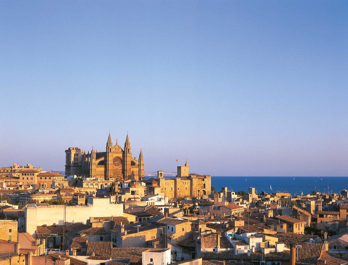 Die Kathedrale von Palma de Mallorca überragt die Dächer der Stadt.