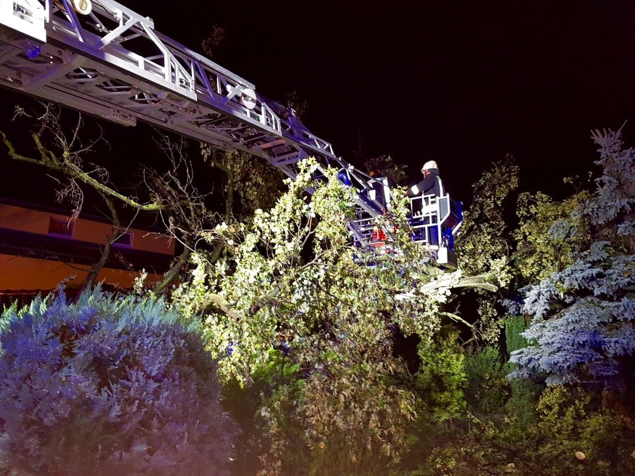 In der Käthe-Kollwitz-Siedlung musste ein Baum beräumt werden, der auf eine Garage gestürzt war. Foto: Feuerwehr