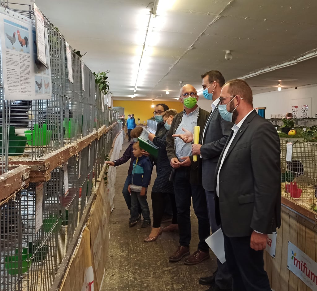 Rundgang bei der Landesjugendtierschau: Wolfgang Oxe vom Landwirtschaftsministerium, Stefan Dreßler vom Landkreis und Gemeindebürgermeister Kay Gericke.
