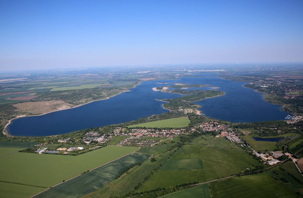 Der Geiseltalsee wird zum Weinexperiment der Region.