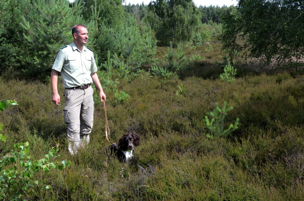 Detlev Riesner vom Bundesforstamt Nördliches Sachsen-Ahalt führte im August bereits durchs "Nationale Naturerbe Berge".