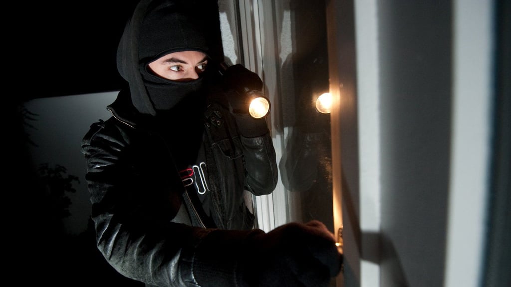 Die Kriminalpolizei hat die Ermittlungen wegen des Verdachts des besonders schweren Falls des Diebstahls aufgenommen.