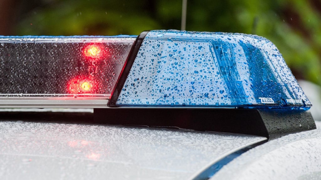 Die Polizei leitete Fahndungsmaßnahmen sowie ein entsprechendes Ermittlungsverfahren ein.