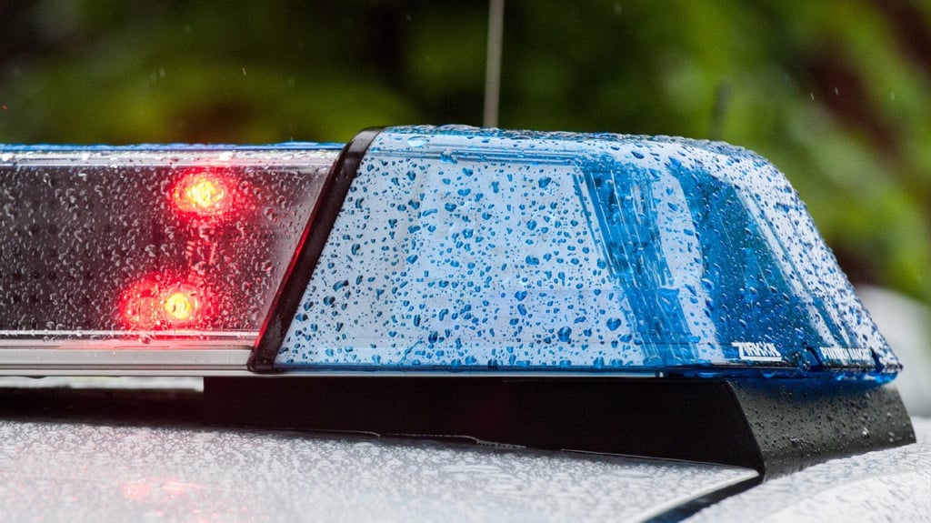 Mehrfach war die Polizei in Wallstawe in Einsatz. Und am Ende war der Fall gelöst.
