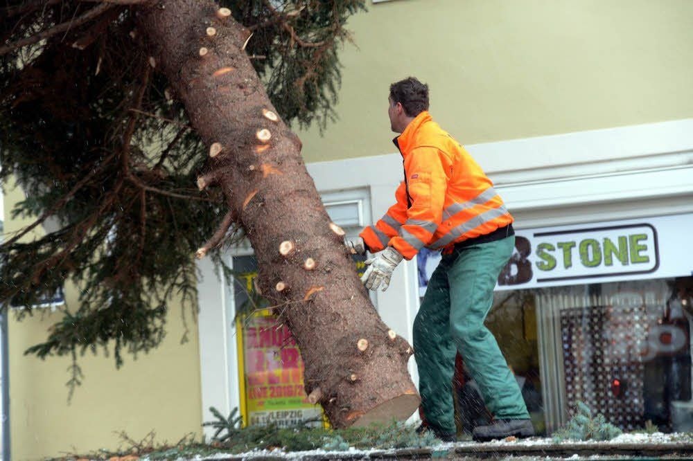 Auf dem Roßmarkt steht nun der zweite Baum.