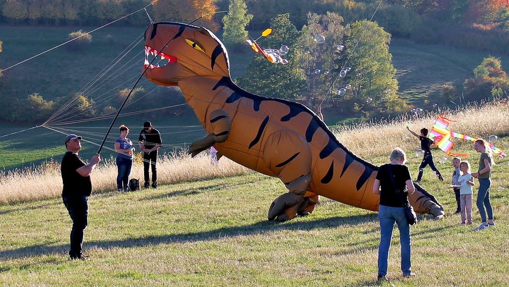 Immer beliebter ist das Drachenfest auf dem Butterberg bei Drübeck geworden. Ab heute können im Ilsenburger Jugendtreff Drachen gebastelt werden.