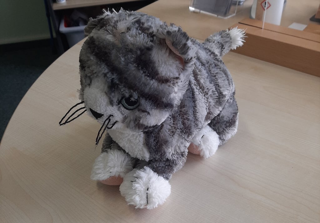Auch dieses Plüschkätzchen wurde während des Ilsenburger Stadtfestes gefunden und hat im städtischen Fundbüro ein vorläufiges Zuhause gefunden.