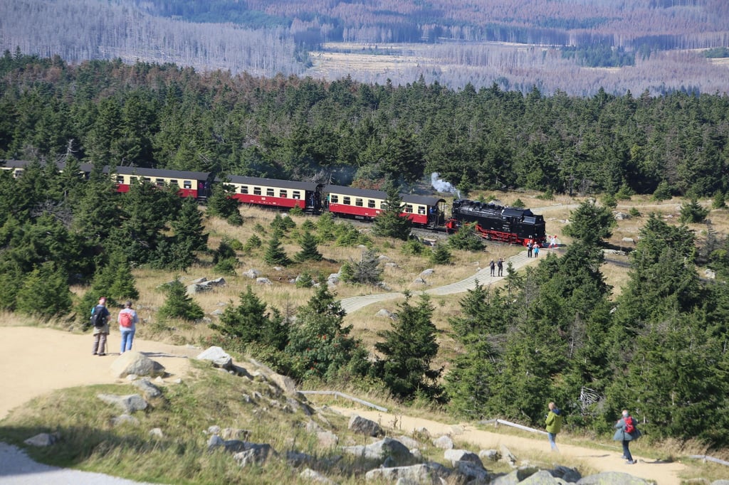Ein Zug der bei Touristen beliebten Harzer Schmalspurbahn HSB fährt zum Brocken.