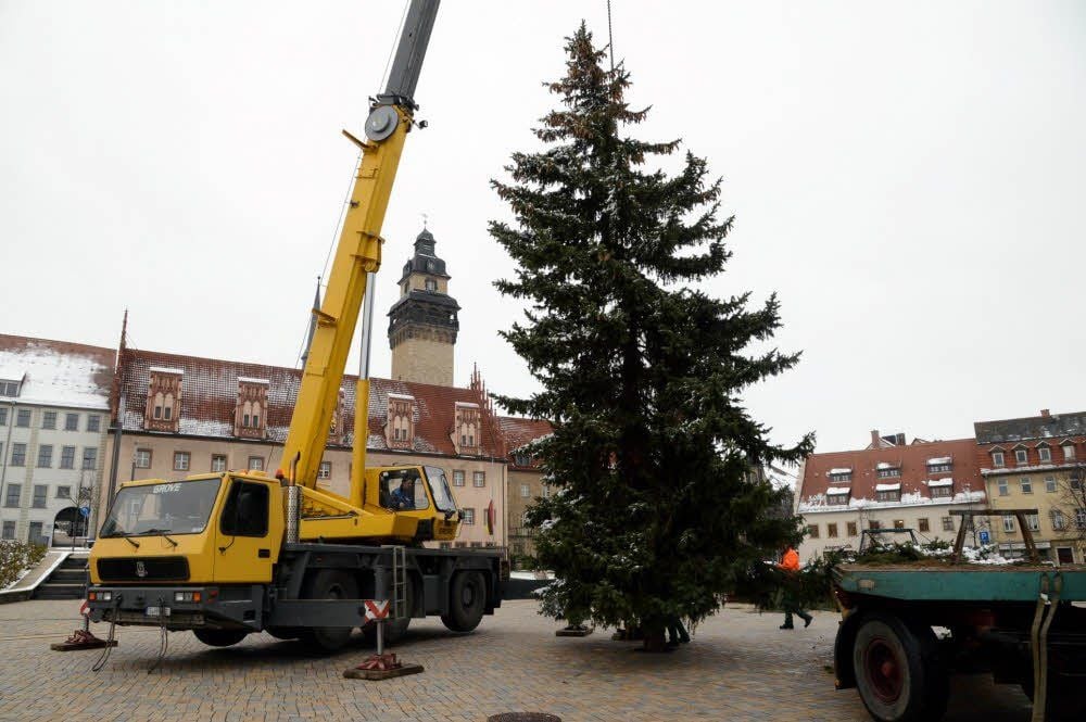Am Montag wurde eine zwölf Meter hohe Blautanne der Familie Scheller auf dem Altmarkt aufgestellt.