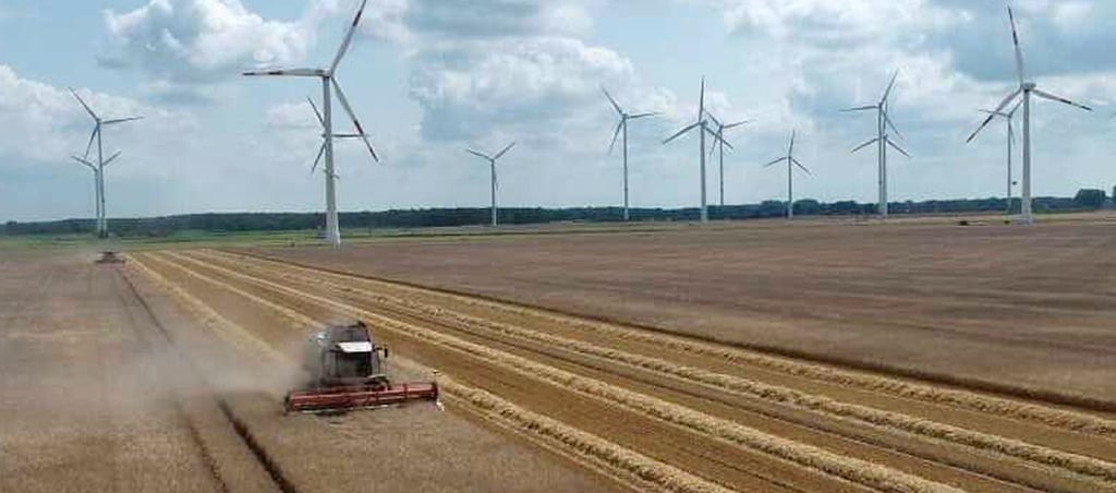 Ein Blick auf den jetzigen Windpark Fischbeck im August zur Getreideernte. Es werden sich, wenn es denn Zustimmung gibt, weniger Räder drehen, aber diese sind dann mehr als doppelt so hoch.