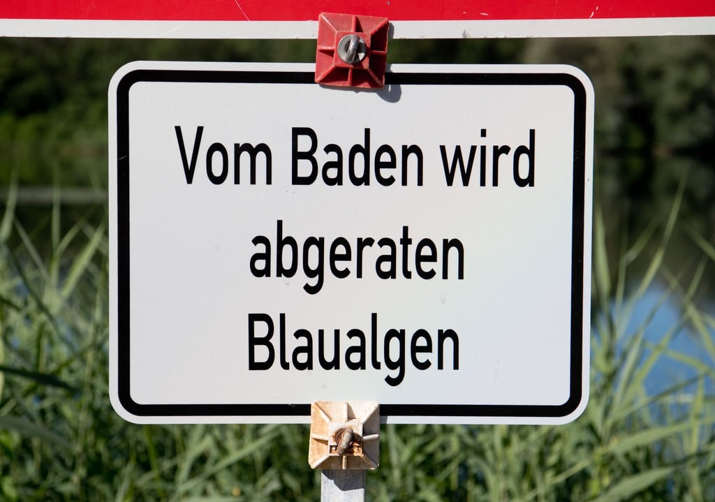 Ein Schild „Vom Baden wird abgeraten - Blaualgen“ steht am Ufer eines Badesees.