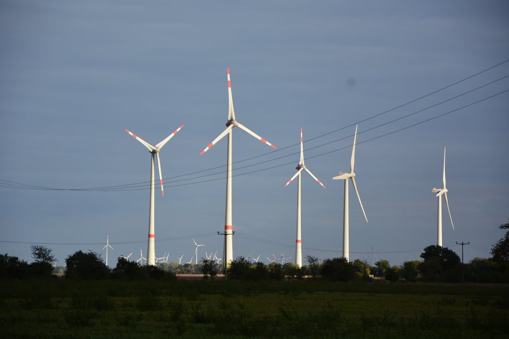 Blick auf Windräder im Park zwischen Düsedau und Calberwisch.