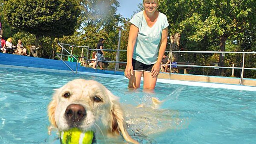 Am Sonnabend nutzen wieder Zwei- und Vierbeiner das Carl-Miller-Bad für den Hundebadetag in Magdeburg.