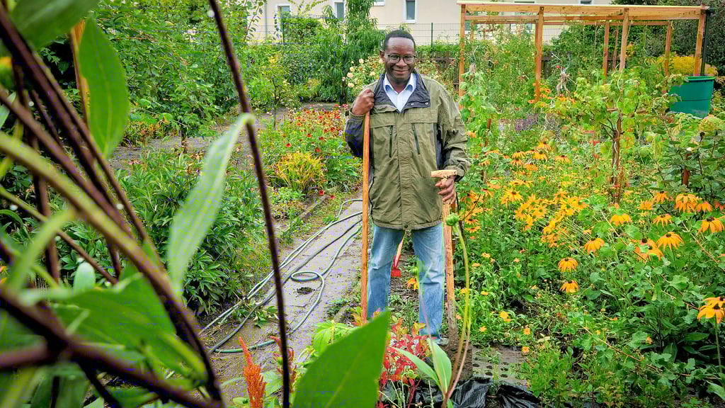 Karamba Diaby (SPD) arbeitet  rund 22 Wochen im Jahr in Berlin. In seiner knappen Freizeit findet er Entspannung im eigenen Kleingarten.  