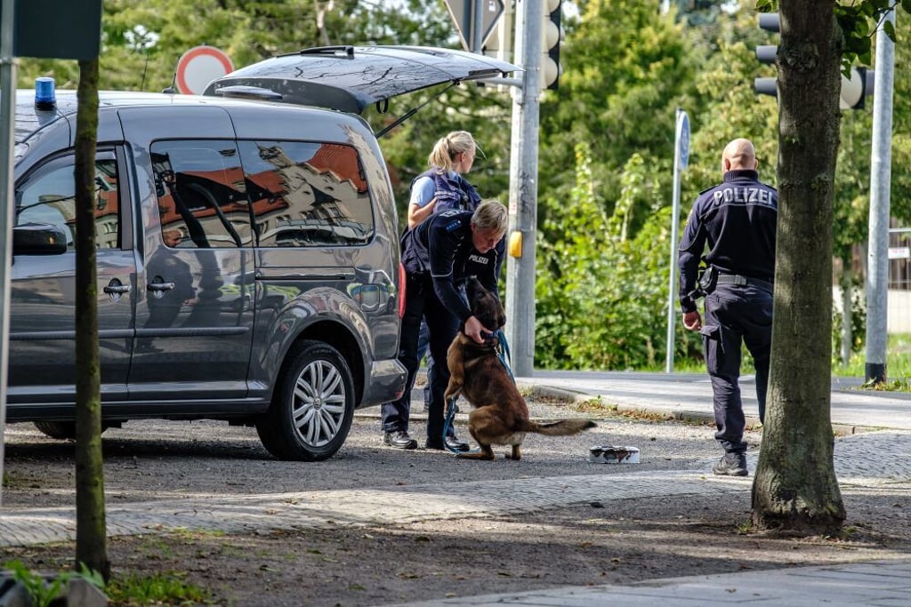 Auch Sprengstoffspürhunde kamen zum Einsatz