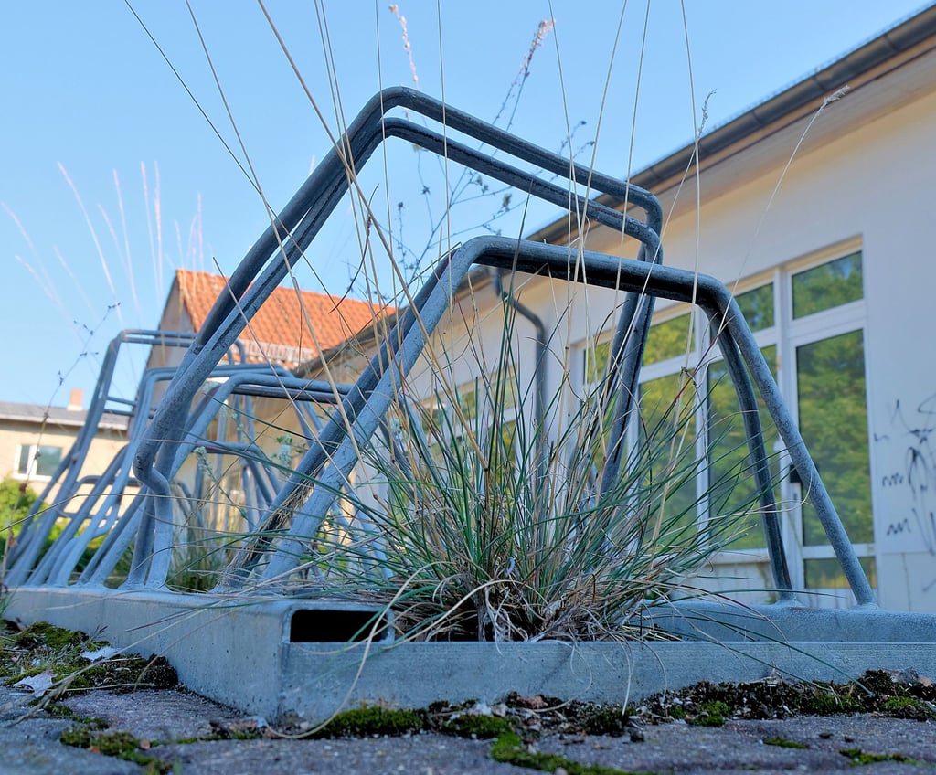 Noch sehen Gelände und Gebäude trostlos aus. Im Januar 2022 soll das Fitness-Studio in Annaburg endlich eröffnet werden.