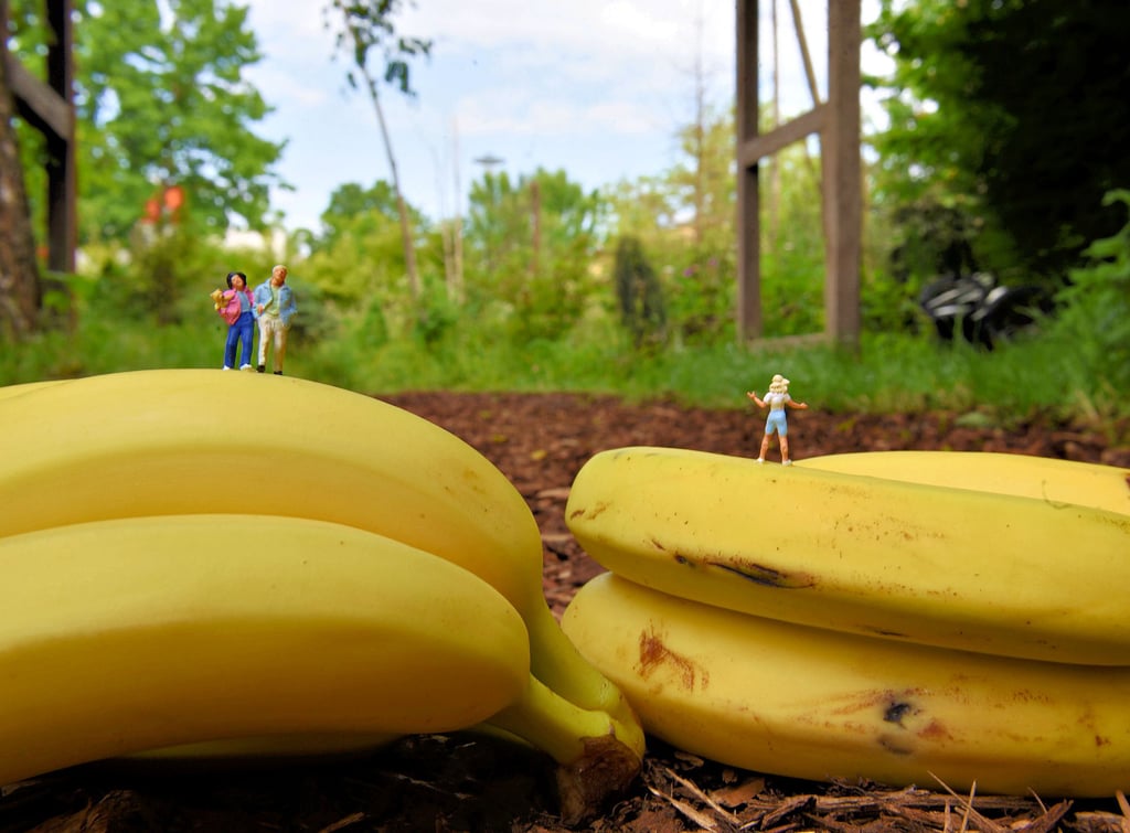 Bananen spielen in der Inszenierung eine Rolle, jedoch nicht als essbares Obst, sondern als Spielobjekt en miniature.
