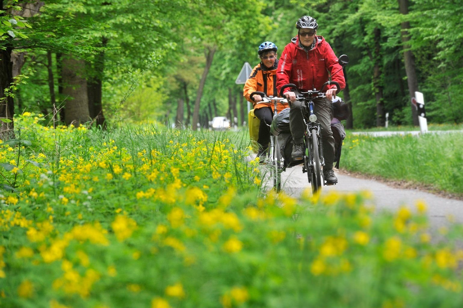 Der Elberadweg im Frühling.