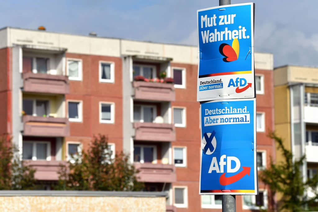 Bei der Bundestagswahl wurde die AfD in Sachsen und Thüringen stärkste Kraft. In Sachsen-Anhalt gewann sie erstmals zwei Direktmandate.