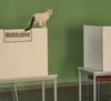 Die Wahlhelfer des Wahllokals Flessau (Einheitsgemeinde Osterburg) hatten am Sonntag ganz besonderen Besuch.