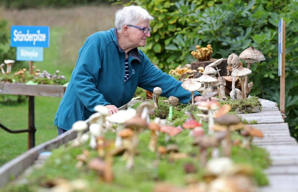 Veronika Weisheit bereitet im Botanischen Garten die große Landes-Pilzschau mit vor.