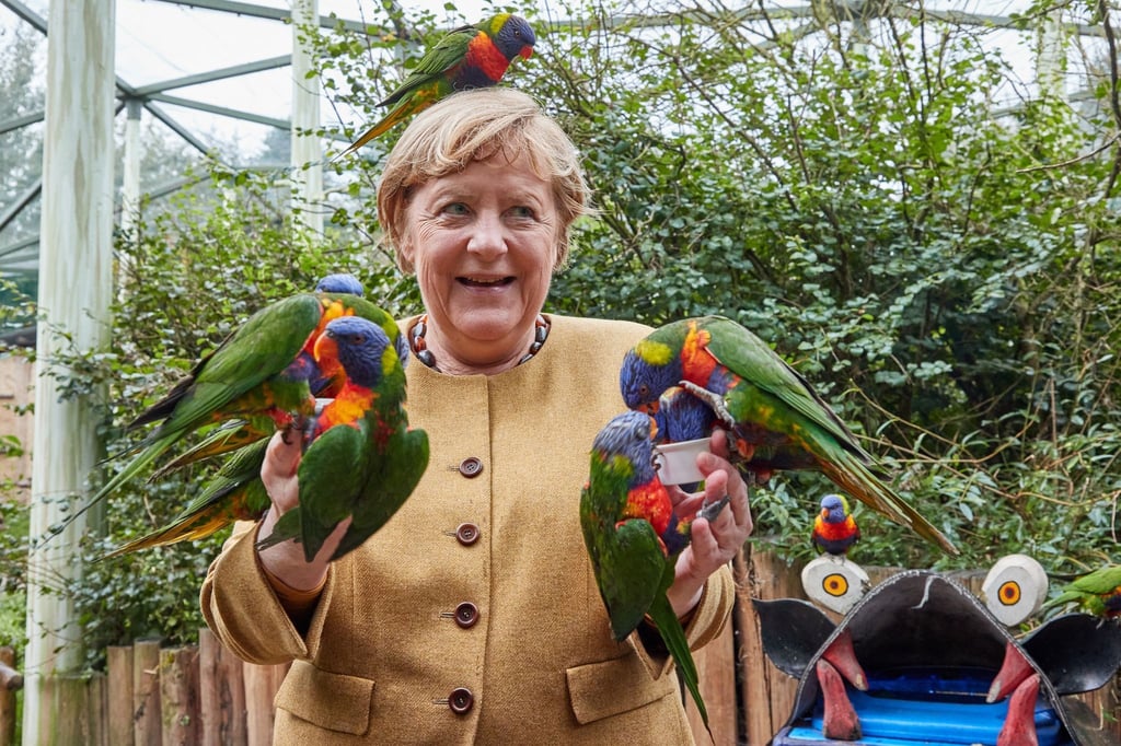Von Lori-Papageien umflattert: Angela Merkel.