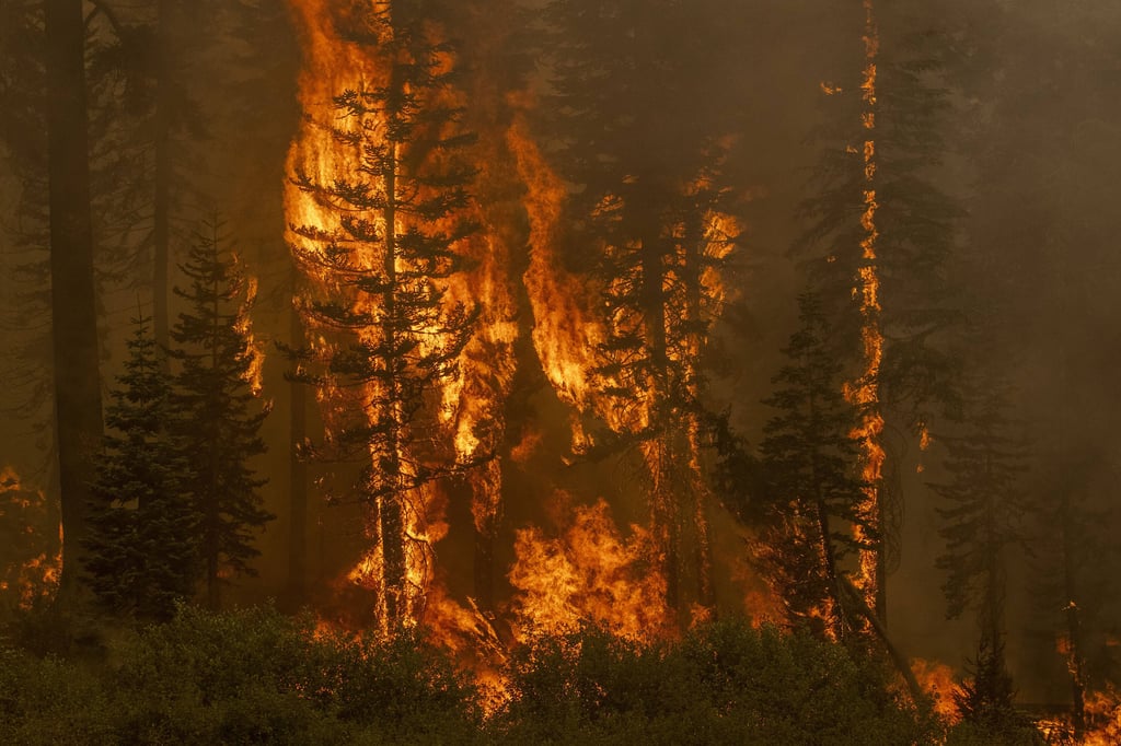 Vermehrt auftretende Waldbrände sind eine Folge des Klimawandels.