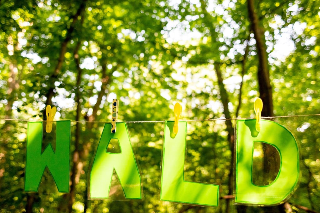 Buchstaben an einer Leine ergeben das Wort „Wald“.
