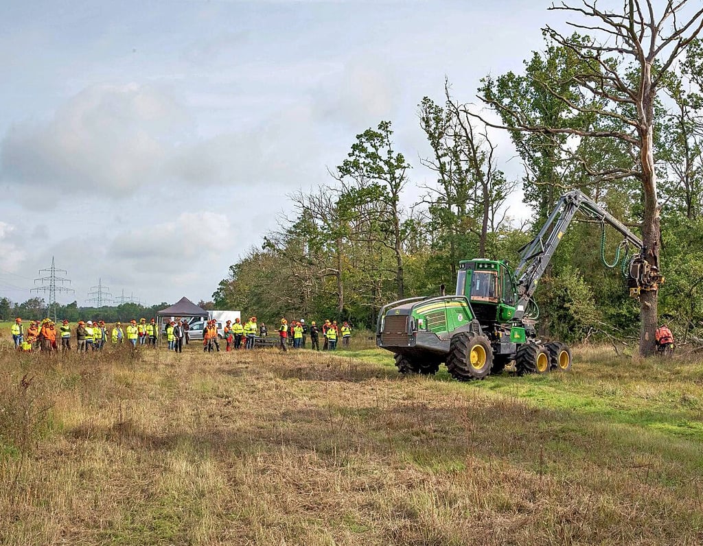 Ein sogenannter Harvester hilft beim Fällen.
