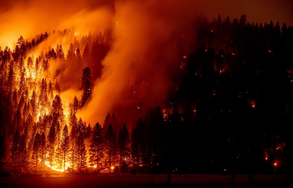 Die Flammen des Dixie-Feuers in Genesee, Kalifornien im August.